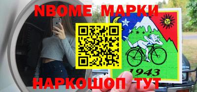 стафф Гай