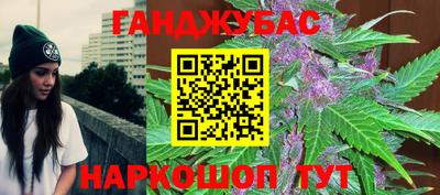 стафф Гай