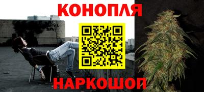 стафф Гай