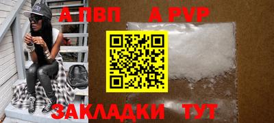 стафф Гай