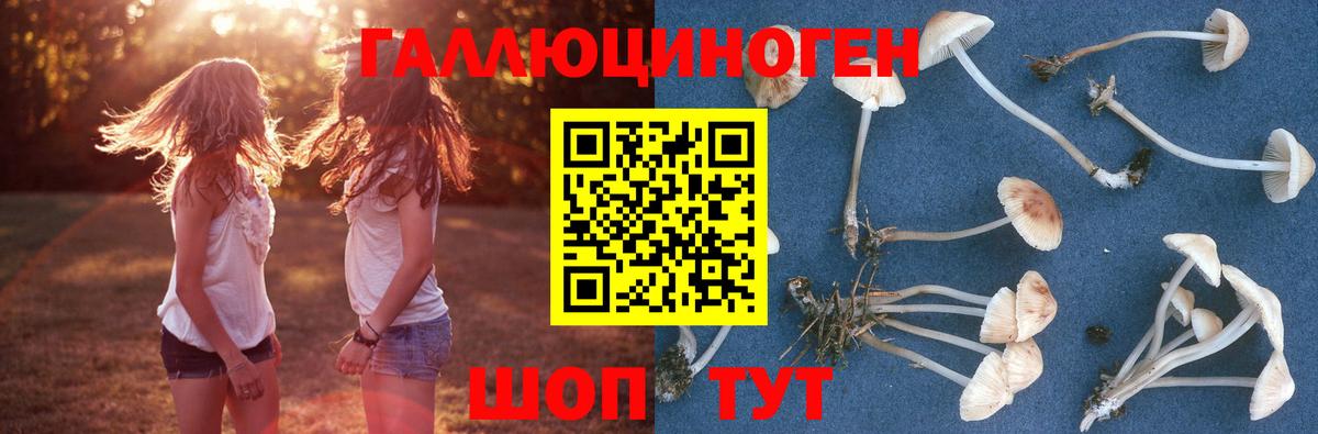 Нальчик  Псилоцибиновые грибы ЛСД  Вход с VPN 