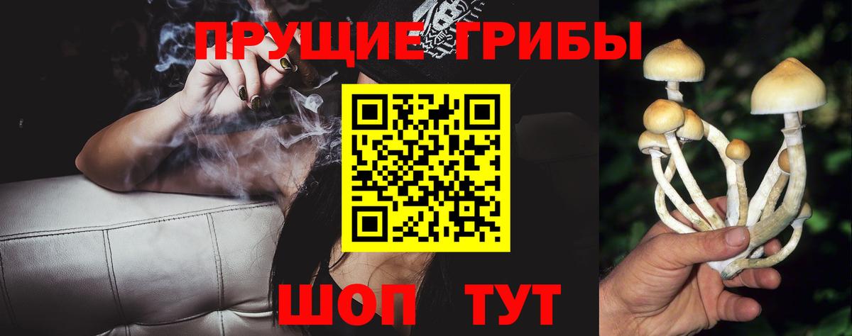 Псилоцибиновые грибы Magic Shrooms Нальчик
